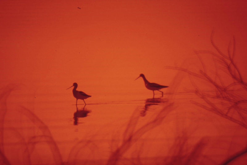 A arte da&nbsp;conexão